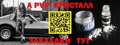 дживик Донской
