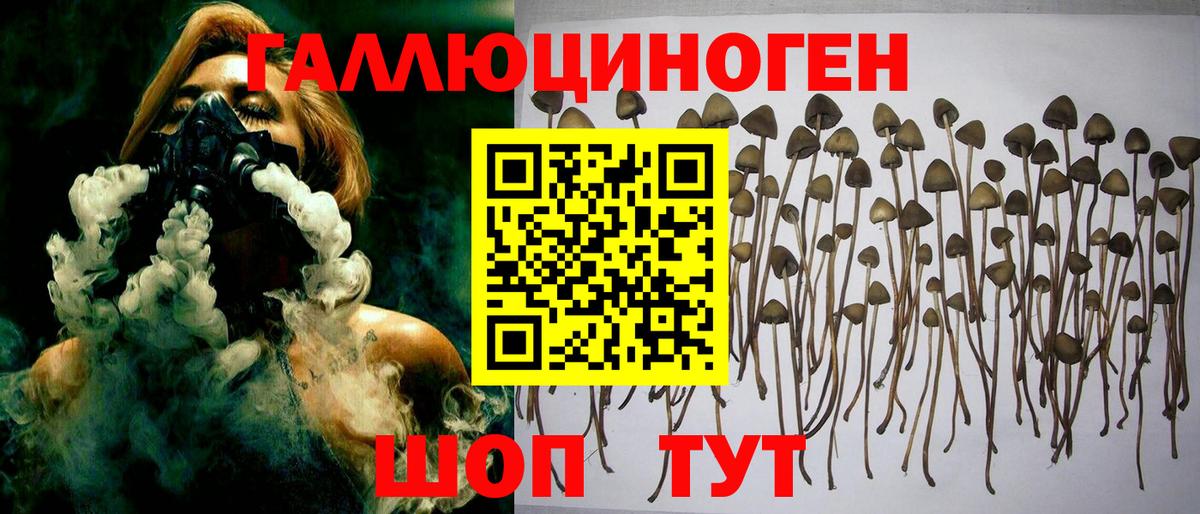 Галлюциногенные грибы прущие грибы Бутурлиновка